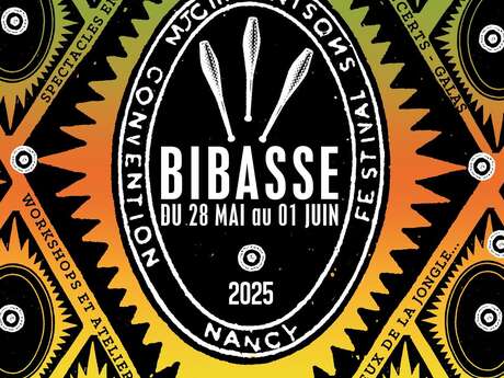 Festival - Bibasse 11
