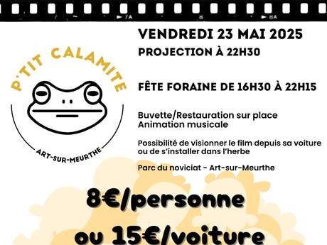 Projection en Plein Air - Drive In 3