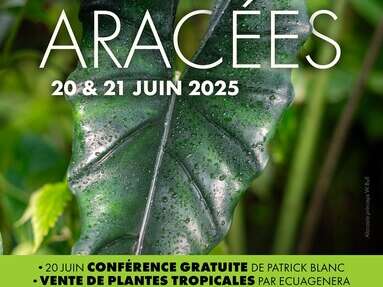Conférence - Rencontre - Nancy Eas Meeting