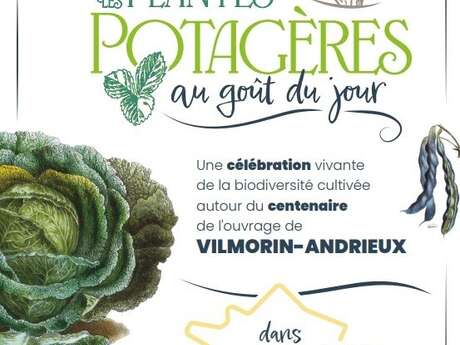 Les Plantes Potagères au Goût du Jour
