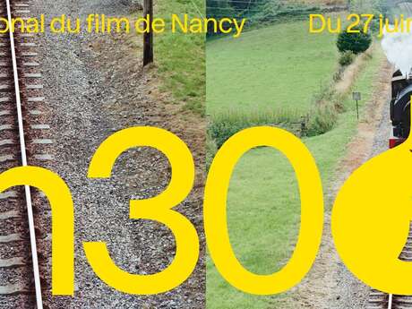 Festival International du Film de Nancy