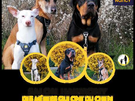 Foire Expo 2025 - Évènements éphémères - Salon Harmony - Des métiers qui ont du chien par RHEARMONY