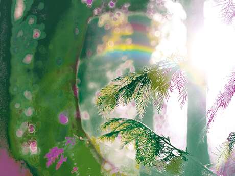 Concert - Lumières secrètes