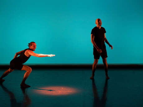 Spectacle de Danse - Le poisson qui vivait dans les arbres - Sylvain Riéjou, Hervé Walbecq
