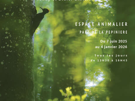 Exposition - Forêt Lorraine