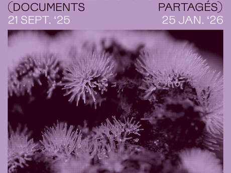 Exposition - Dispersions (documents partagés) - Stéphanie Lagarde et Constantin Jopeck