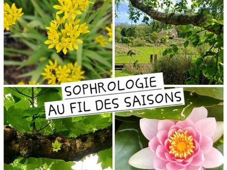 Atelier - Sophro-Balade