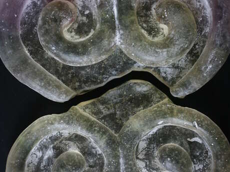 Exposition - Cœur de Marie