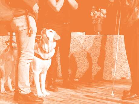 Taktile und akustische Besichtigung