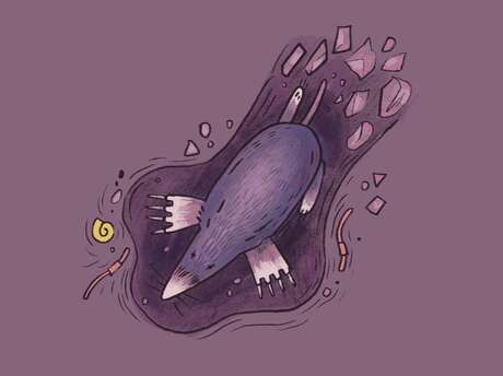 Atelier - La vie sous nos pieds