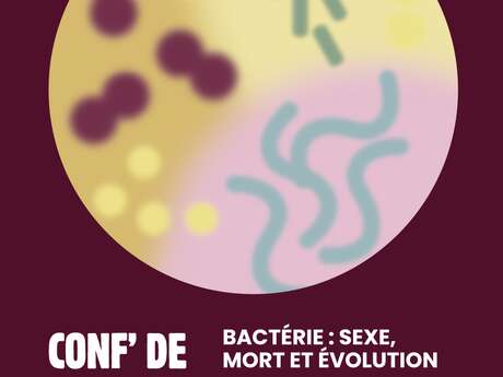 Conférence - Bactérie: sexe, mort et évolution