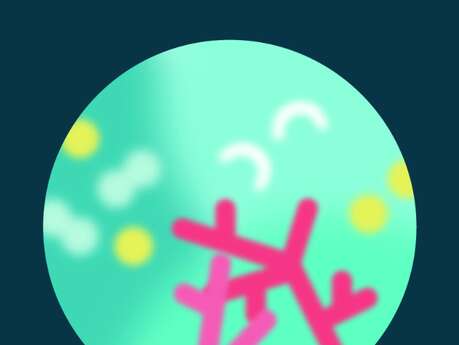 Conférence - Récit de l'épopée corallienne