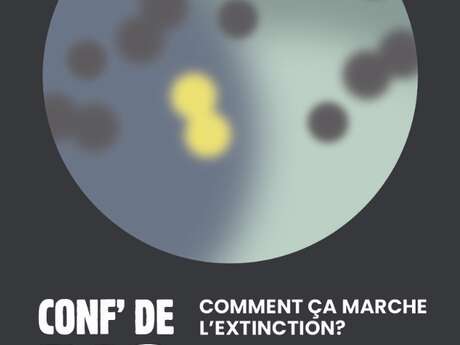 Conférence - Comment ça marche l'extinction ?