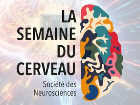 Conférence-Débat - NeuroQuiz - Que peut-on faire avec des Interfaces Cerveau-Ordinateur ?