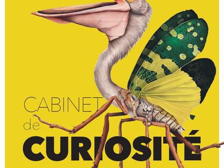 Atelier d’arts plastiques - Cabinet de Curiosité