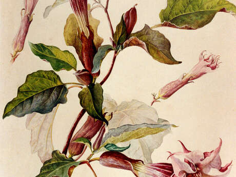 Visite Parfumée - Made in Nancy pardi !