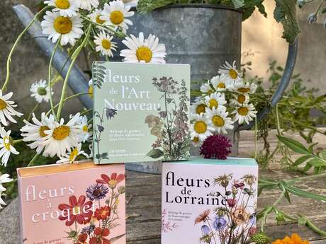 In Terra - Fleurs de Lorraine