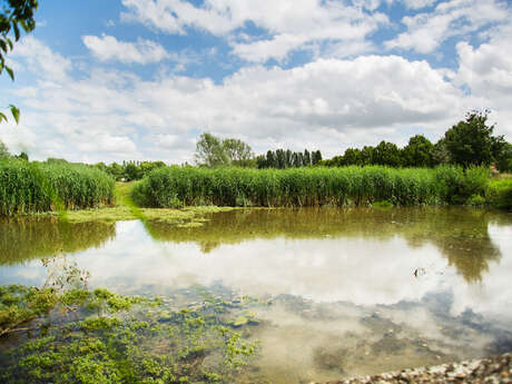 Parc des Etangs