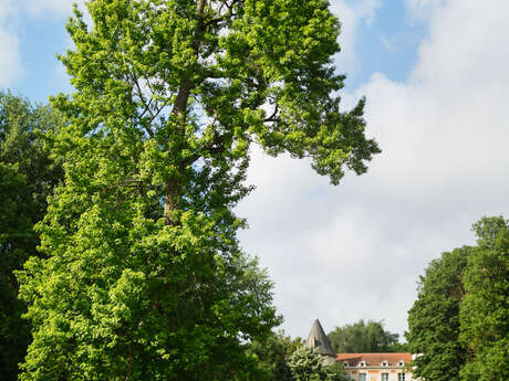 PARC DE REMICOURT