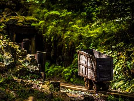 Les hautes-mynes