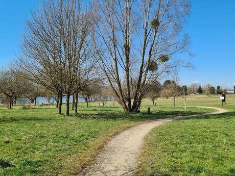 Circuit Pédestre 02 - Entre Lacs - 11.2 km