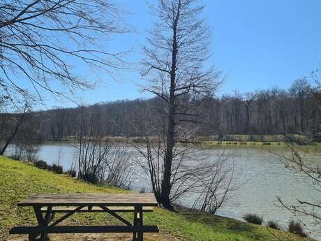 Circuit Pédestre 04 - Circuit Long des 2 Lacs - 13.1 km