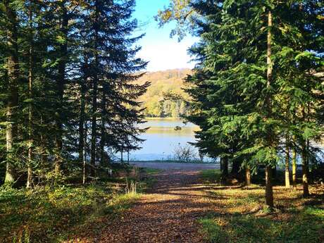 Sentier des lacs de contrexéville au parc de vittel - 6 km