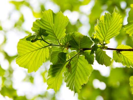 Atelier "créations & fantaisies"