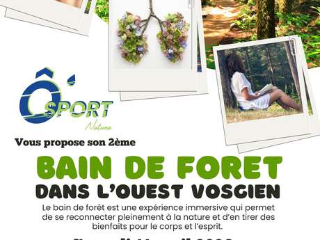 Bain de forêt