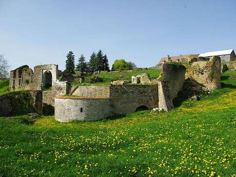 CHÂTEAU DE BEAUFREMONT