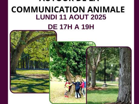 Plum(ailfe) Garden autour de la communication animale