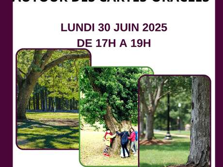 Plum(ailfe) Garden autour des Cartes Oracles