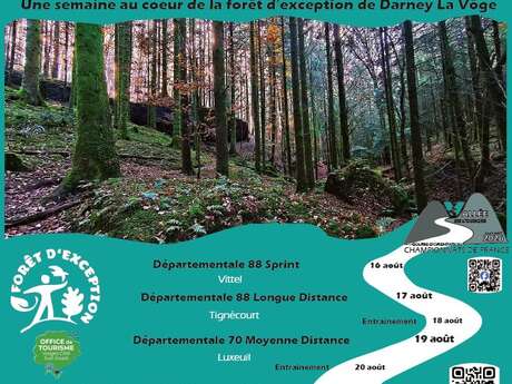 Course d'orientation urbaine