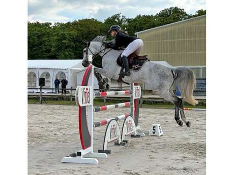 Concours de saut d'obstacle jeunes chevaux