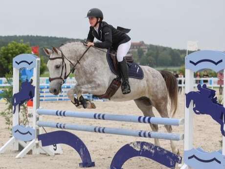 Concours de sauts d'obstacles club