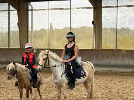 CONCOURS DE SAUTS D'OBSTACLES CLUB - PONEYS