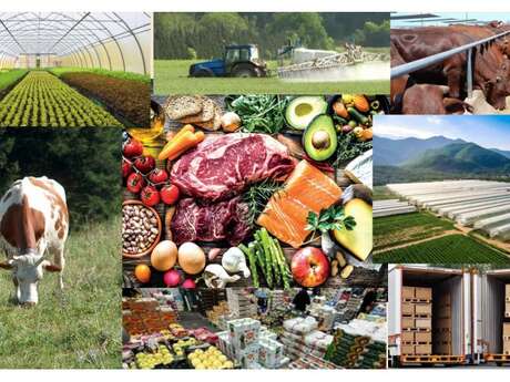 Conférence UCP : L'impact environnemental de nos assiettes