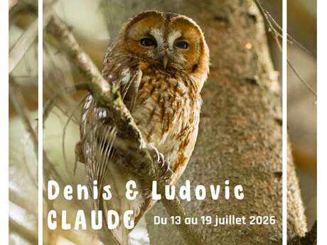 Exposition rétrospective claude henri schmitt