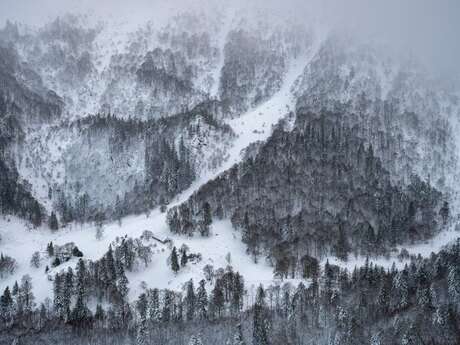 Exposition "La petite fabrique de montagnes"
