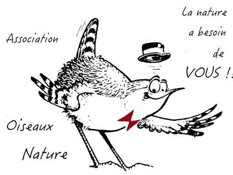 Sortie ornithologique