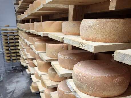 Visite de la fromagerie de la Ferme du Pichet