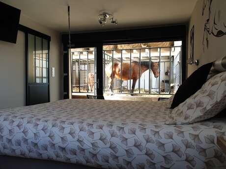 Equi-lodge