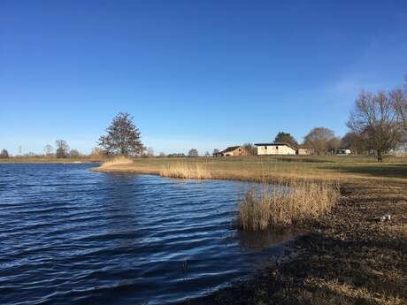 KARPFEANGELN