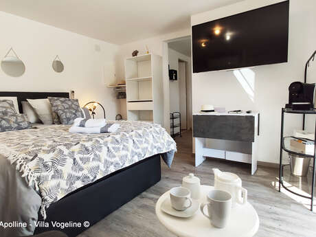 Villa Vogeline - résidence Verdunelia - F1 Apolline