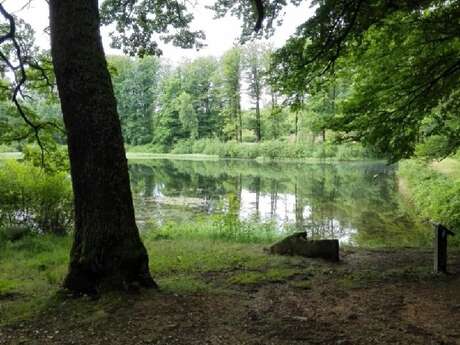 Étang de la Picarde