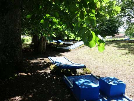 MINI-GOLF DU COIGNOT DE THAON-LES-VOSGES