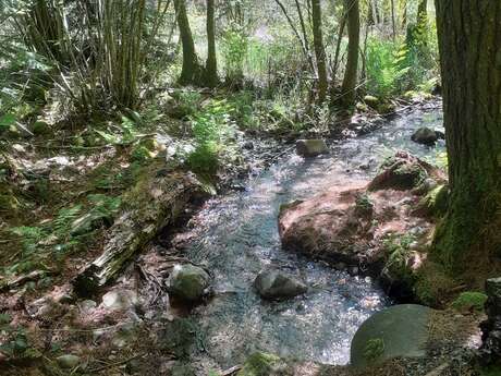 Les fontaines chaudes