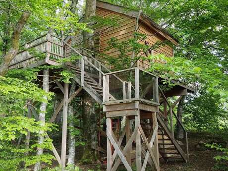 CABANE PERCHÉE LA PAT DE L'OURS