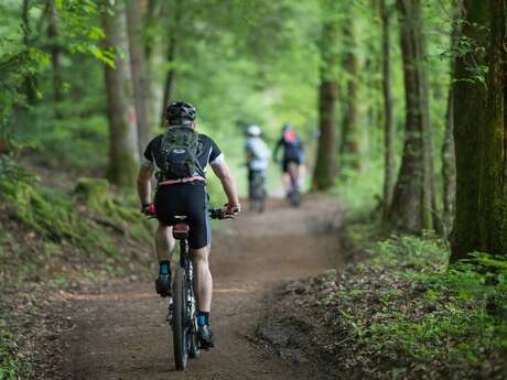 CIRCUIT VTT N°1 LES CARRIÈRES