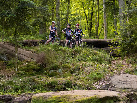 CIRCUIT VTT N°30 LE GUÉ DU SAUT